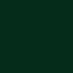 verde scuro 6005